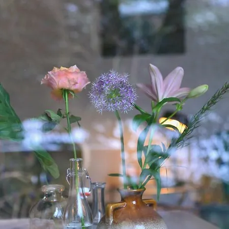 Boutique Studio Koetshuis34 * 斯霍尔