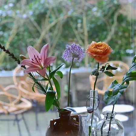 Boutique Studio Koetshuis34 公寓 *