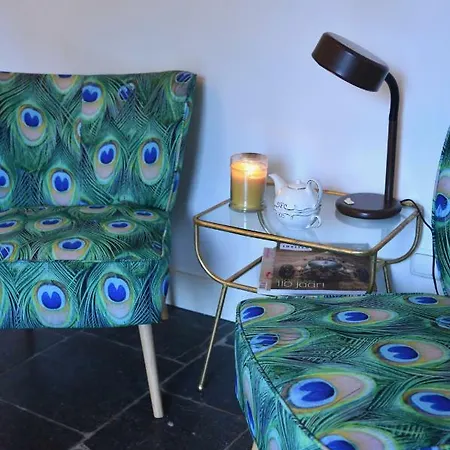 Boutique Studio Koetshuis34 公寓 斯霍尔